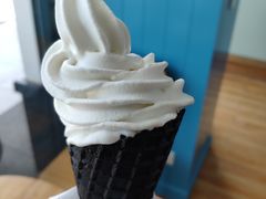 鲜椰奶冰淇淋-自然椰·海南清补凉(海月广场店)