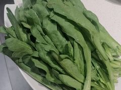 -蝎王府羊蝎子(北大地店)