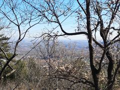 -阳台山自然风景区