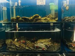 -荣祥海鲜·烟台菜(胜利路二部)