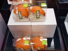 -阪急百货店(梅田总店)
