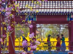 -张家湾公园