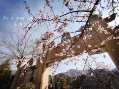 -居庸关长城