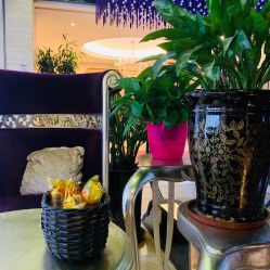 -华美整形美容医院