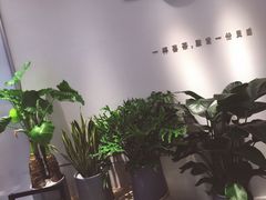 -喜茶(佛山岭南站店)