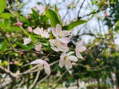 -后襄河公园