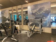 -袁林健身(名仕悦府店)