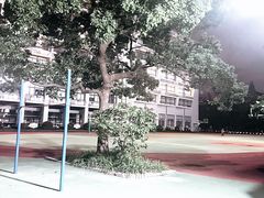 -上海财经大学附属北郊高级中学
