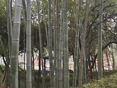 -故乡缘·香格里拉山庄(冷竹路店)