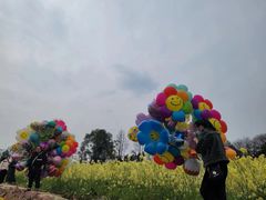 -三圣花乡旅游区