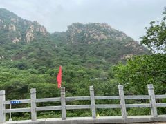-大岭沟猕猴桃谷风景区