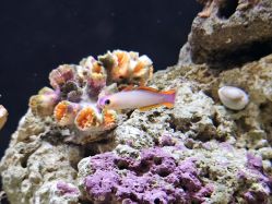 -Zoolung Zoolung动物主题公园(海信广场店)