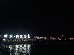 -武汉两江游览·夜游长江(汉口粤汉码头)