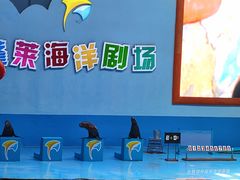 -蓬莱欧乐堡海洋极地世界