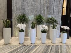 -北京泰富酒店-柏景轩中餐厅