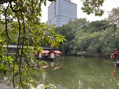 -侨美·唐荔园·40年地道粤菜