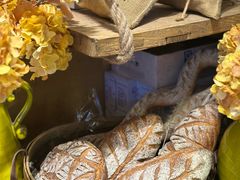 -乡田小墅(展览馆路JK FUN商城店)