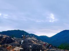 -广州白江湖森林公园