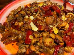 -柴窝堡22号辣子鸡·传承新疆菜