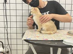 -熊小胖宠物生活馆(天华园店)