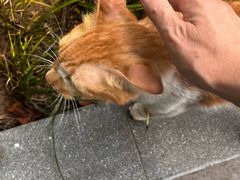 -瑞鹏宠物医院·宠保定点·心脏科·内科(御桥分院)