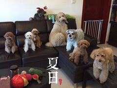 -锦江之星(南京新街口店)