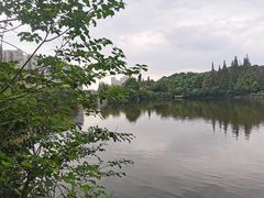 -成都南湖公园