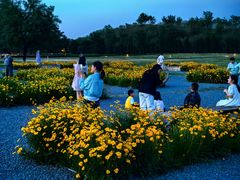 -汉长安城未央宫国家考古遗址公园