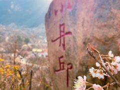 -崂山九水游览区