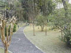 -南国桃园旅游度假区