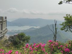 -梧桐山风景名胜区