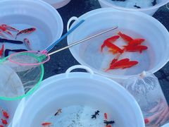 -华润万家(丹东宝山店)