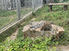 -合肥野生动物园