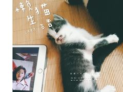 -EnergyCake蛋糕理想国