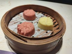 -点都德·毕德寮