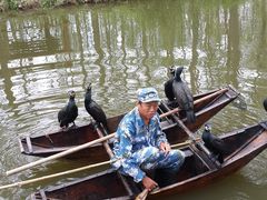 -合肥滨湖国家森林公园