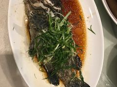 -海都六福酒家(世博广场店)