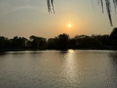 -石家庄市植物园