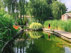 -春风习习