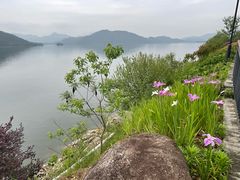-宝荣鱼馆·临湖之宴(千岛湖店)