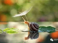 iphone_upload_pic-聚宝渔港.五钻酒家(上地店)