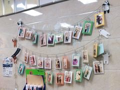 -仁华宠物医院(青羊店)