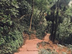 -青城山