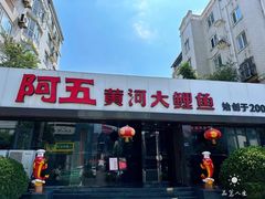 -阿五黄河大鲤鱼(建业路店)