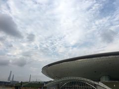 -王鼎精致料理铁板烧(世博源店)