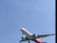 -空港花田景区