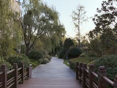 -上海崇明金茂凯悦酒店