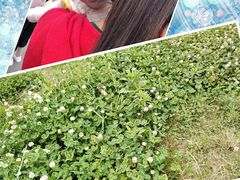 -白鹭湾湿地公园