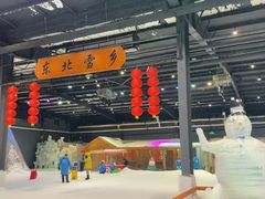 -宁波冰雪大世界(北仑区)