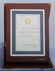 公司荣誉资质-凤凰县苗族银饰锻制技艺传习所